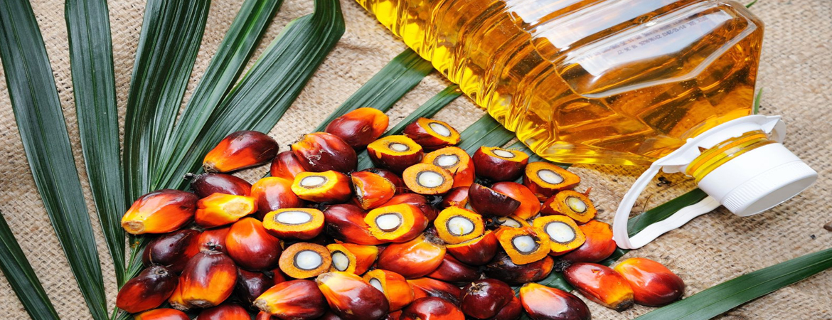 palm oil